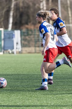 Bild 208 - wBJ Hamburger SV - Hertha BSC : Ergebnis: 2:1